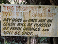 Any Dogs or Cats Will Be..., Mount Lewis NP, Julatten, Australia