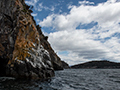 Bruny Island Boat Trip, Bruny Island, Tasmania