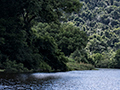 Daintree River, Australia