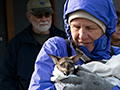 Joan With Rose a Bennett's (Red-necked) Wallaby, Tasmania