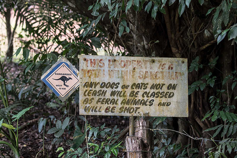 Any Dogs Sign, Mount Lewis NP, Julatten, Australia