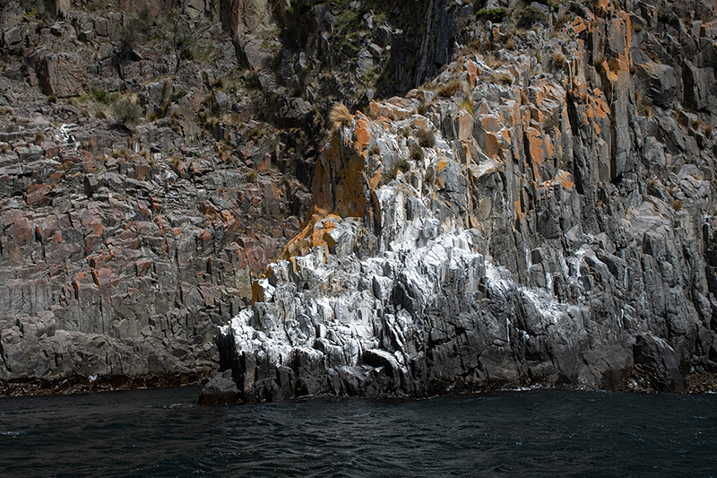 Boat Trip, Bruny Island, Tasmania