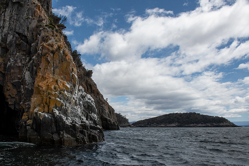 Boat Trip, Bruny Island, Tasmania