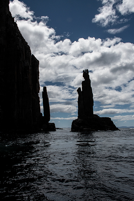 Boat Trip, Bruny Island, Tasmania