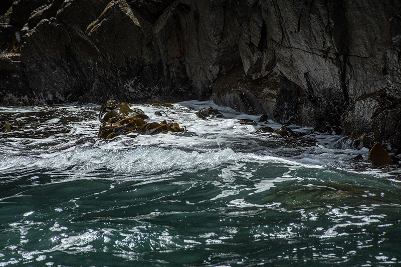 Bruny Island Scenery, Tasmania