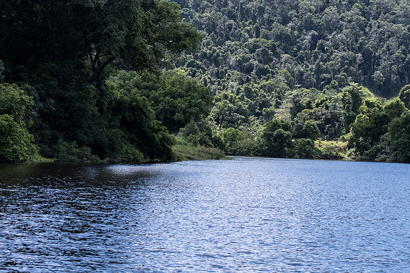 Daintree River, Australia