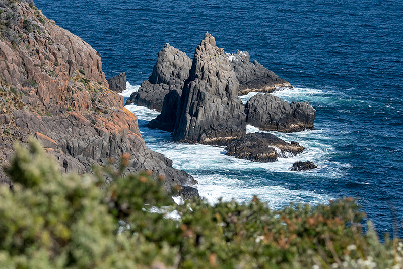 South Bruny NP, Bruny Island, Tasmania