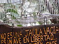 Empty Bird Cage, Jardin de los Picaflores, Puerto Iguaz, Argentina