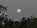 Rising Moon, Pixiam River, Brazil