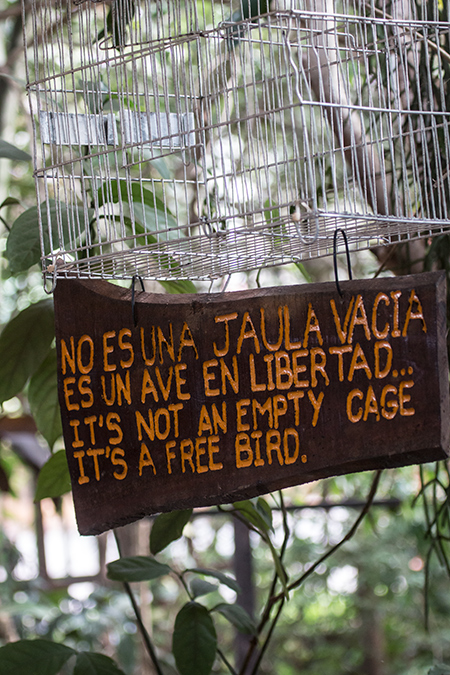 Empty Bird Cage, Jardin de los Picaflores, Puerto Iguaz, Argentina