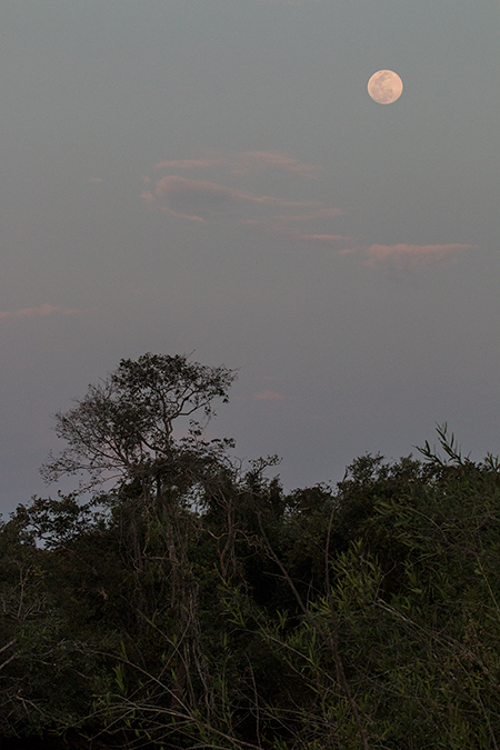 Rising Moon, Pixiam River, Brazil 