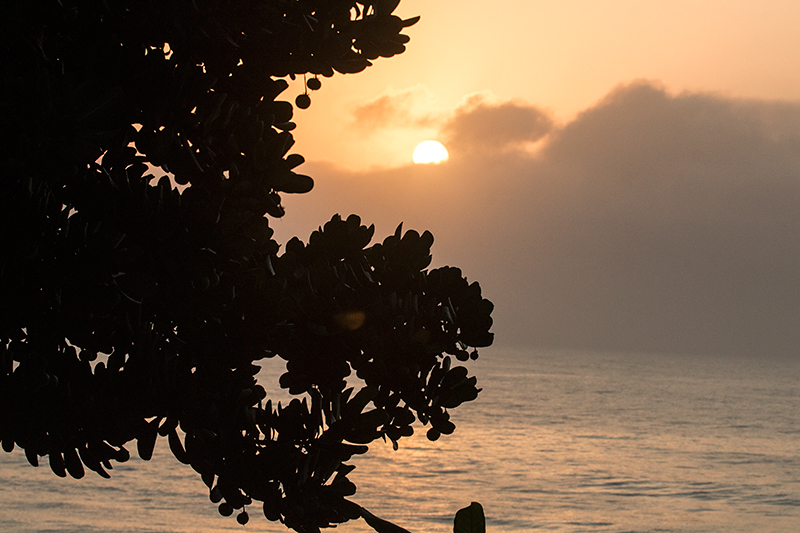 Ubatuba Sunrise, Brazil