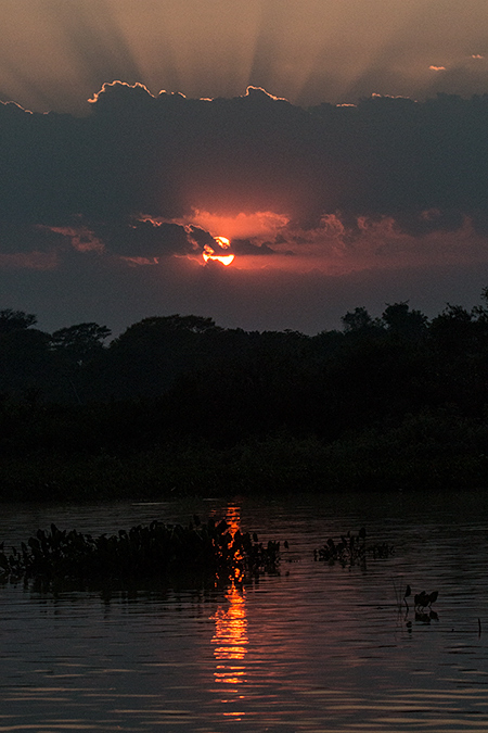 Cuiab River Sunrise, Porto Jofre, Brazil