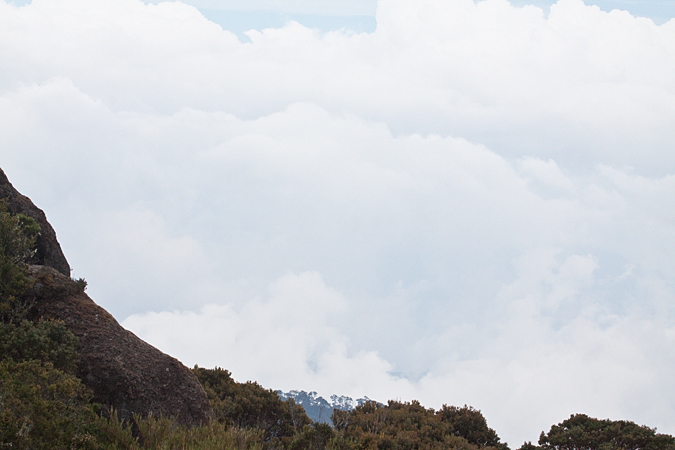 Cerro de la Muerte, Costa Rica by Richard L. Becker