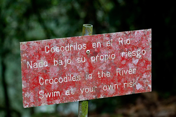 Crocodile Warning Sign, La Selva Biological Station, Costa Rica by Richard L. Becker