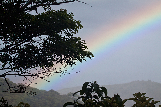 Rainbow, Monteverde, Costa Rica by Richard L. Becker