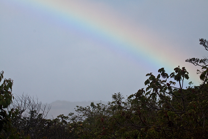 Rainbow, Monteverde, Costa Rica by Richard L. Becker