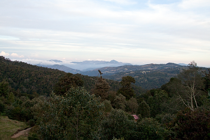 Early morning at Paraiso del Quetzal, Costa Rica by Richard L. Becker