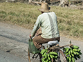 Bicyclists, en Route Santa Clara to Havana, Cuba