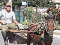 Horse-Drawn Transportation, Carretera Central de Cuba