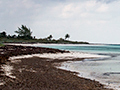 Shore, Playa Las Coloradas, Cuba