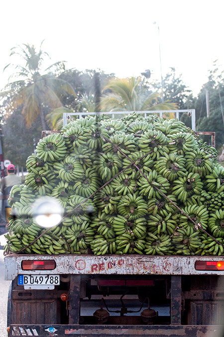 Banana Truck en Route Sol Cayo Coco Hotel to Santa Clara, Cuba