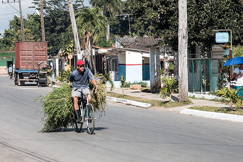 Bicyclist With Sugar Cane, Carretera Central de Cuba