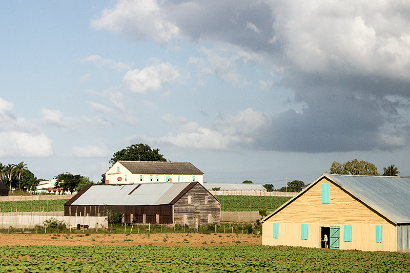 Cuban Farmland, Carretera Central de Cuba