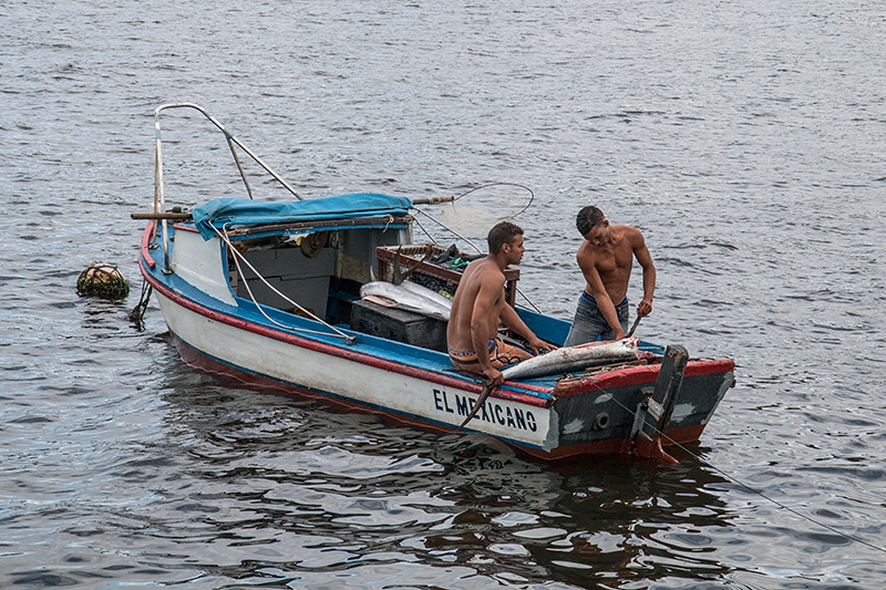 Cuban Fishing Boats, Havana, Cuba