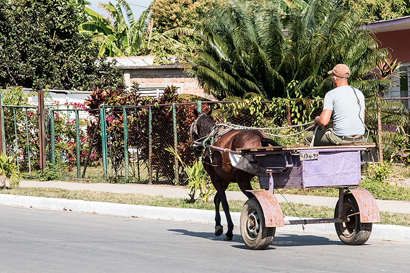 Horse-Drawn Cart, Carretera Central de Cuba