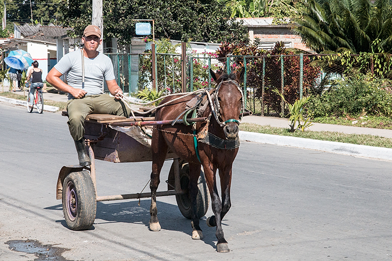 Horse-Drawn Cart, Carretera Central de Cuba