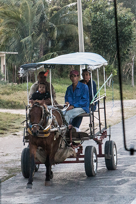 Horse Cart en Route Sol Cayo Coco Hotel to Santa Clara, Cuba