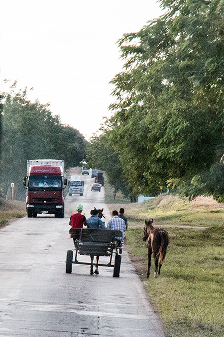 Horse Cart and Trucks en Route Sol Cayo Coco Hotel to Santa Clara, Cuba