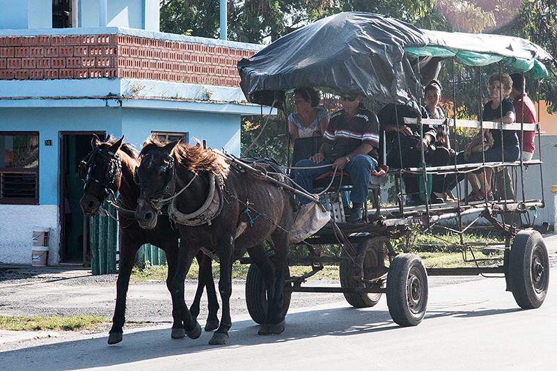 Horse-Drawn Bus, Carretera Central de Cuba