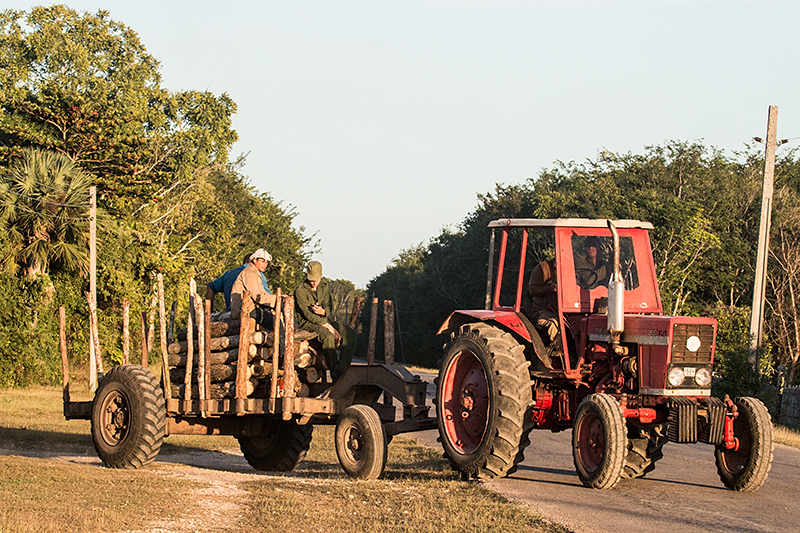 Loggers, Matanzas, Cuba