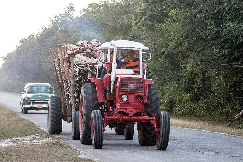 Loggers, Matanzas, Cuba