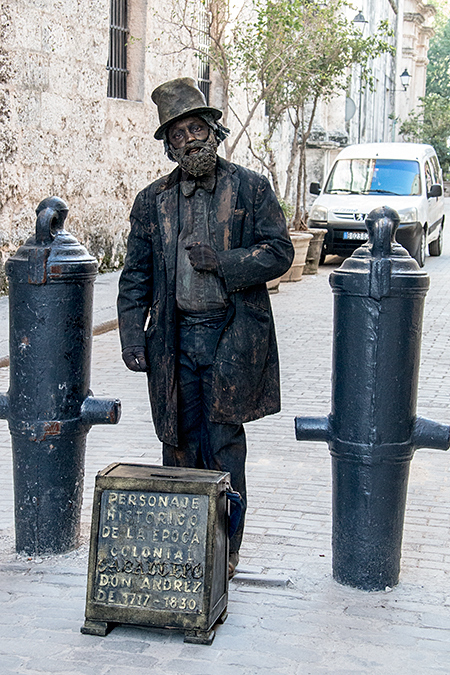 Living Sculture, Havana, Cuba