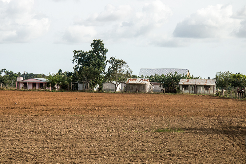 Tobacco Farms, Pinar del Rio, Cuba