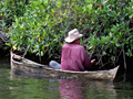 Canoe at the Cuero y Salado Wildlife Refuge, Honduras