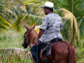 Cowboy From the Train from Salado Barra, Honduras