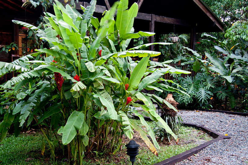 Outside our room, The Lodge at Pico Bonito, Honduras