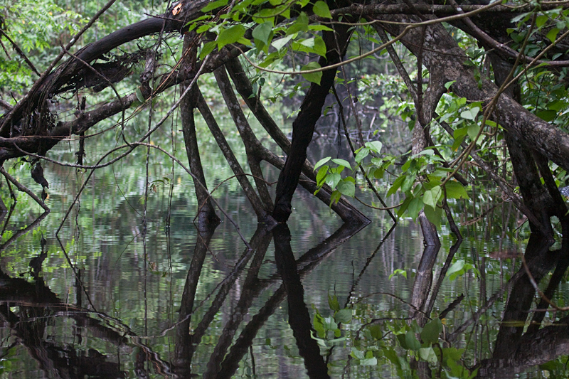 Cuero y Salado Wildlife Refuge, Honduras