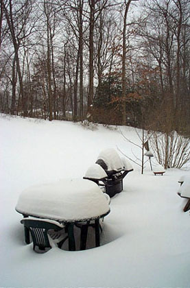 Backyard Snow by Abbie Banks