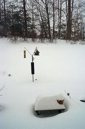 Backyard Snow by Abbie Banks