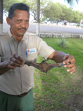 Guard with bat at Flamingo Hotel