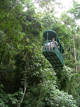 Tram at Artola Rain Forest