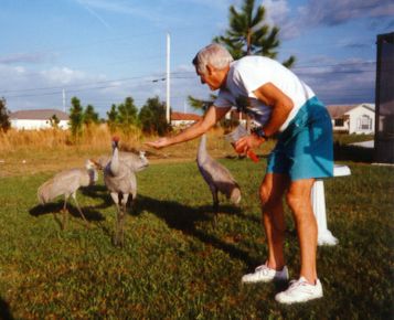 Hank Hull Feeding Sandhill Cranes