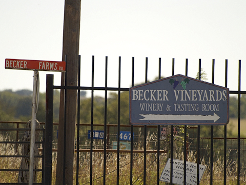 Becker Farrms Vineyards