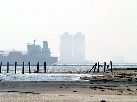 Bolivar at Low Tide