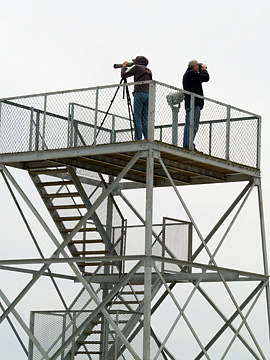 Chuck Pierce and Joan Becker at the tower at Forsythe (Brigantine) NWR